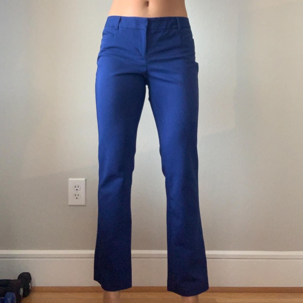 Express Columnist Size 8 Pant